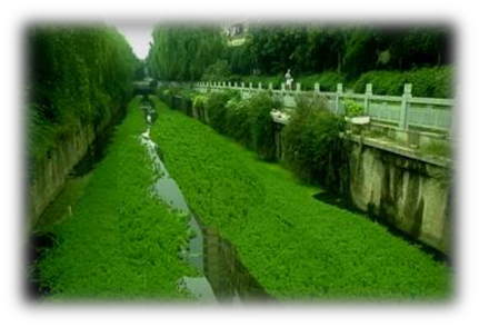 我國水生態(tài)環(huán)境修復現(xiàn)狀分析解讀(下)- 我國水生態(tài)環(huán)境修復現(xiàn)狀分析解讀(下)-